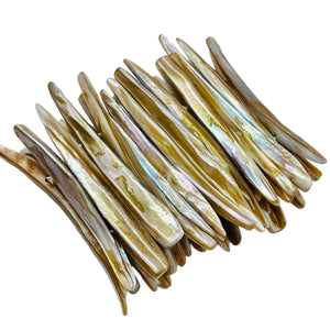 Bronze Mussel Shell Double Drill Plank Bracelet | 7 to 8 Inch" long | 30 Beads|