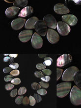 Load image into Gallery viewer, 7 Tahitian Mother of Pearl Shell Flat Briolette Beads 9911 - PremiumBead Alternate Image 2