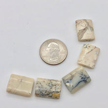 Load image into Gallery viewer, 5 Perfect Pillow African Opal 20x15x5mm Beads 003510 - PremiumBead Alternate Image 3