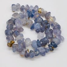 Load image into Gallery viewer, Oregon Holly Blue Chalcedony Agate 74 Gram Nugget| 10X10X8 15X10X8 |Blue 60 Bead