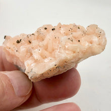 Load image into Gallery viewer, Dolomite Crystal with Pyrite Natural Display Specimen | 2.25x1.63x.75" |