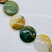Load image into Gallery viewer, Ocean Jasper Graduated Round | 25x8 to 23x8 mm | Multi-color | 17 Beads