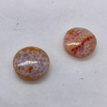 Load image into Gallery viewer, 2 Snakeskin/Crab Fire Agate Coin Focal Beads 8958