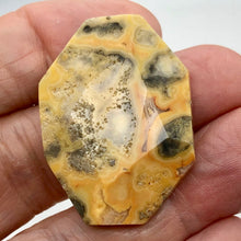 Load image into Gallery viewer, Crazy Lace Agate Carved Pendant Bead | 40x29x8mm | Red Gray |