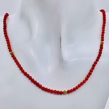 Load image into Gallery viewer, AAA Natural Ox Blood Red Coral & 14K Gold 18 inch Necklace 202904