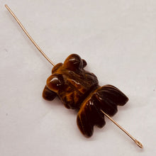 Load image into Gallery viewer, Wondrous Carved Tiger Eye Gold Fish Bead