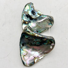 Load image into Gallery viewer, One! Natural Abalone Fan Shaped Pendant 45x35mm Bead - PremiumBead Alternate Image 5