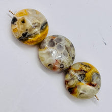 Load image into Gallery viewer, 3 Beads of intricate Designs Crazy Lace Agate Coin Beads 8969