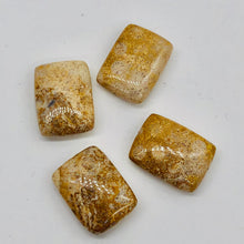 Load image into Gallery viewer, Coral Fossilized Rectangular Parcel | 20x15x6 mm | Brown/White | 4 Beads |