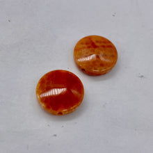 Load image into Gallery viewer, 2 Snakeskin/Crab Fire Agate Coin Focal Beads 8958