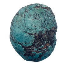 Load image into Gallery viewer, Genuine Natural Turquoise Nugget Focus or MasterBead|49cts|26x21x16| Blue Brown|