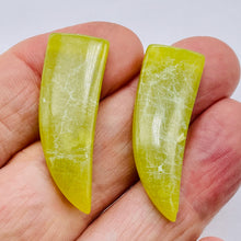 Load image into Gallery viewer, 2 Chartreuse Serpentine Jade Dragon Claw Beads 8948B