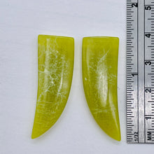 Load image into Gallery viewer, 2 Chartreuse Serpentine Jade Dragon Claw Beads 8948B