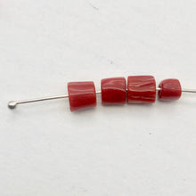 Load image into Gallery viewer, 3 Unique Natural 6x5 to 5x4mm Red Coral Barrel Branch Beads 2607 - PremiumBead Alternate Image 4