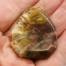 Load image into Gallery viewer, Fossilized Wood Irregular Flat Briolette | 45x38x7mm | Brown/White | 1 Pendant Bead