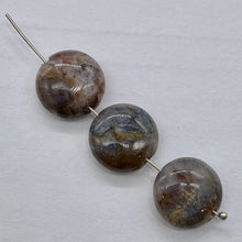 Load image into Gallery viewer, 3 Natural Crazy Lace Pietersite 14x7mm Coin Beads 9683