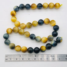 Load image into Gallery viewer, Tigereye 8" Strand Round | 10 mm | Blue/Golden Brown | 19 Beads |