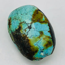 Load image into Gallery viewer, Natural Turquoise Nugget Focus Master 39cts Bead | 24x18x14 | Blue Brown | 1 |