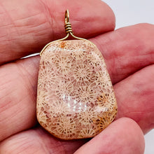 Load image into Gallery viewer, Fossilized Coral 14K Gold Filled Wire Wrap Pendant Pre-Cambrian Era | 1 5/8" |