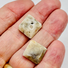 Load image into Gallery viewer, Premium 2 Fossilized Coral 15x15x6mm Diamond Beads 9007