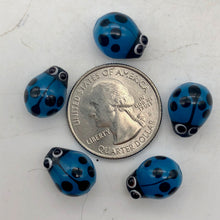 Load image into Gallery viewer, Hand Made Glass Lampwork Lady Bug Beads | 14x10mm | Blue | Oval | 5 Beads | - PremiumBead Alternate Image 2