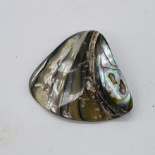 Load image into Gallery viewer, Abalone Hinge Shell | 38x42x12to 36x38x11mm | Silver Pink | 1 Pendant Bead |