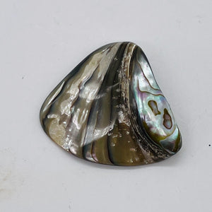 Abalone Hinge Shell | 38x42x12to 36x38x11mm | Silver Pink | 1 Pendant Bead |
