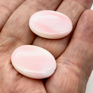 Conch Shell Oval Strand | 25x18x6mm | Pink White | 16 Bead(s)