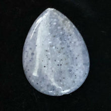 Load image into Gallery viewer, Coral Fossilized Teardrop | 40x30x8 mm | Blue | 2 Pendant Beads |