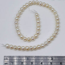 Load image into Gallery viewer, Premium White Freshwater Pearl 8 inch Strand 004494HS