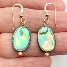 Load image into Gallery viewer, Abalone 14K Gold Filled Drop Earrings | 1 1/4" Long | Blue | 1 Pair Earrings |