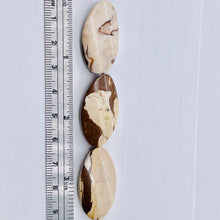 Load image into Gallery viewer, 3 Exotic Zebra Jasper Twist Oval Focal Beads 8906