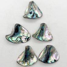Load image into Gallery viewer, One! Natural Abalone Fan Shaped Pendant 45x35mm Bead - PremiumBead Alternate Image 6