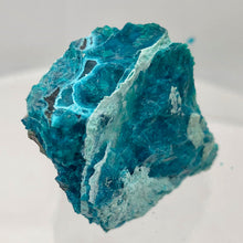 Load image into Gallery viewer, Chrysocolla Natural Crystal Display Specimen | 49x39x18mm |