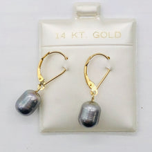Load image into Gallery viewer, South Sea Pearl Drop 14K Gold Earrings | 1" Long | Silver/Black | 1 Pair |