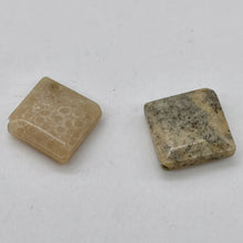 Load image into Gallery viewer, Premium 2 Fossilized Coral 15x15x6mm Diamond Beads 9007