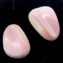 Load image into Gallery viewer, Conch Shell. Pear Shape | 27x19x8 to 28x22x10 | Pink White | 8 Bead(s)