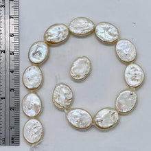 Load image into Gallery viewer, Designer Dream 14x10x4mm Cream Oval Coin Pearl Strand 103913
