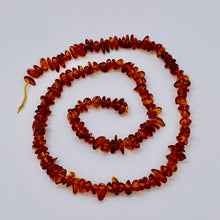 Load image into Gallery viewer, Amber Nugget Chip Bead Strand | 6x4x3 to 9x4x4mm | Orange | 150 Beads |