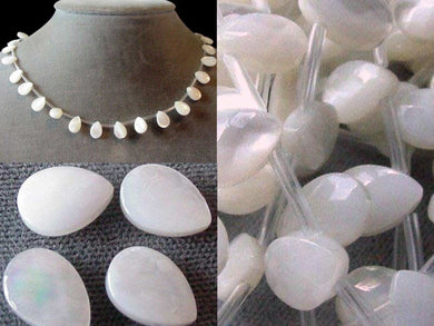 White Ebony Shell Faceted Briolette Bead Strand 104331 - PremiumBead Primary Image 1