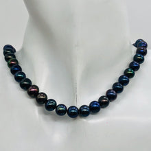 Load image into Gallery viewer, Fresh Water Pearl Strand Round | 8 mm | Blue/Purple | 54 Beads |