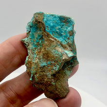 Load image into Gallery viewer, Stunning Dioptase on Chrysocolla Display Specimen | 2.25x1.5x.75" | Green | - PremiumBead Alternate Image 6