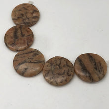 Load image into Gallery viewer, Feldspar Coin Bead Strand | 35x6mm | 11 Beads | Tan Black Red |