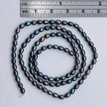 Load image into Gallery viewer, Rainbow Metalic Peacock FW Pearl Strand 101062