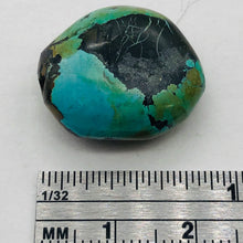 Load image into Gallery viewer, Genuine Natural Turquoise Nugget Focus Master 31cts| 21x18x10mm | Blue Black|1|