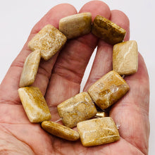Load image into Gallery viewer, Coral Fossilized Half Strand Rectangular Beads|20x15x6 mm| Brown/White|10 Beads|