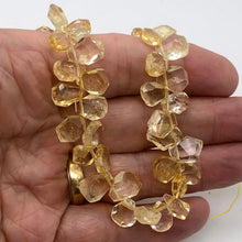 Load image into Gallery viewer, Citrine Faceted Briolette Bead Strand | 10x7 to 13x12x5mm | Golden | 57g |