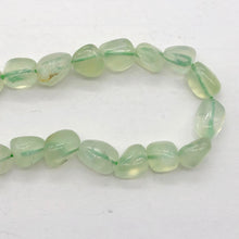 Load image into Gallery viewer, Rare Prehnite W/Epidote Needles Bead 13" Strand | 9x8x7 to 7x6x6mm | 46 Beads |