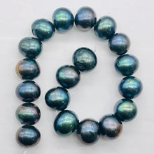 Load image into Gallery viewer, Fresh Water Pearls Round Half Strand | 11-12 mm | Blue Peacock | 19 Beads |