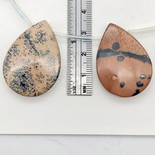Load image into Gallery viewer, hot-dendritic-jasper-briolette-pendant-bead-strand-33x25x5mm-13-beads Alternate Image 10